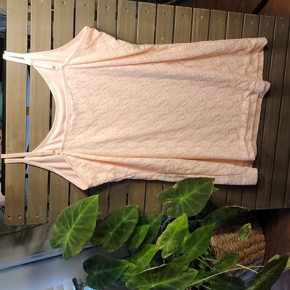 Pale Pink 3X tank or mini - Picture 2 of 3